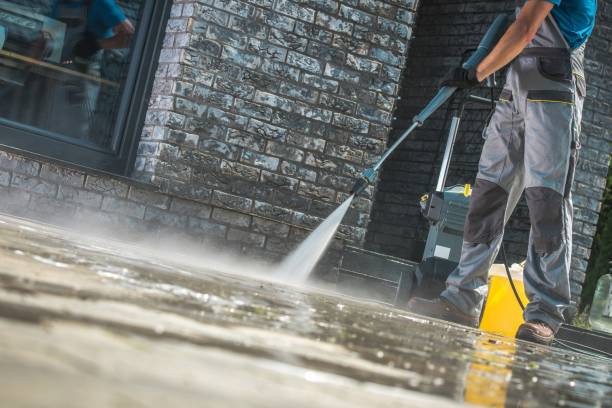 Best Animal Enclosure Cleaning  in Timberville, VA